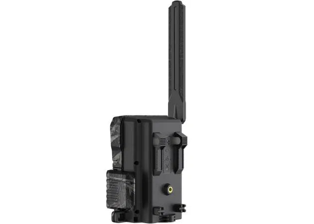 wildlife_camera_hikmicro_m15_5_.jpg