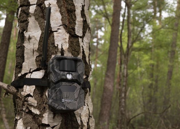 wildlife_camera_hikmicro_t16_13_.jpg
