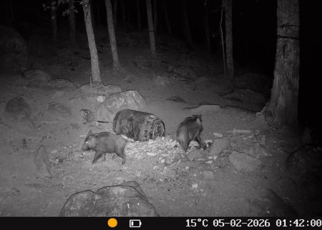 wildlife_camera_hikmicro_t16_15_.jpg